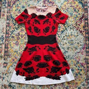 Alexander Mcqueen floral print mini dress